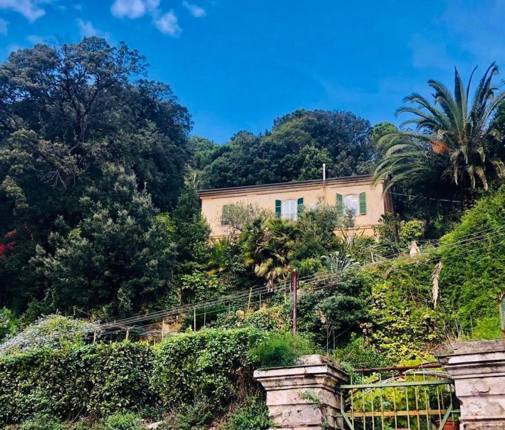Caligo Bed and Breakfast La Spezia Buitenkant foto