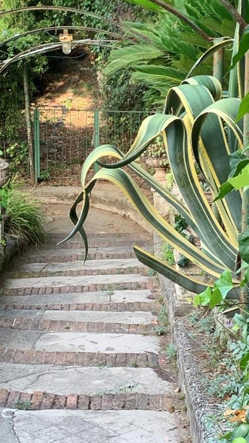 Caligo Bed and Breakfast La Spezia Buitenkant foto