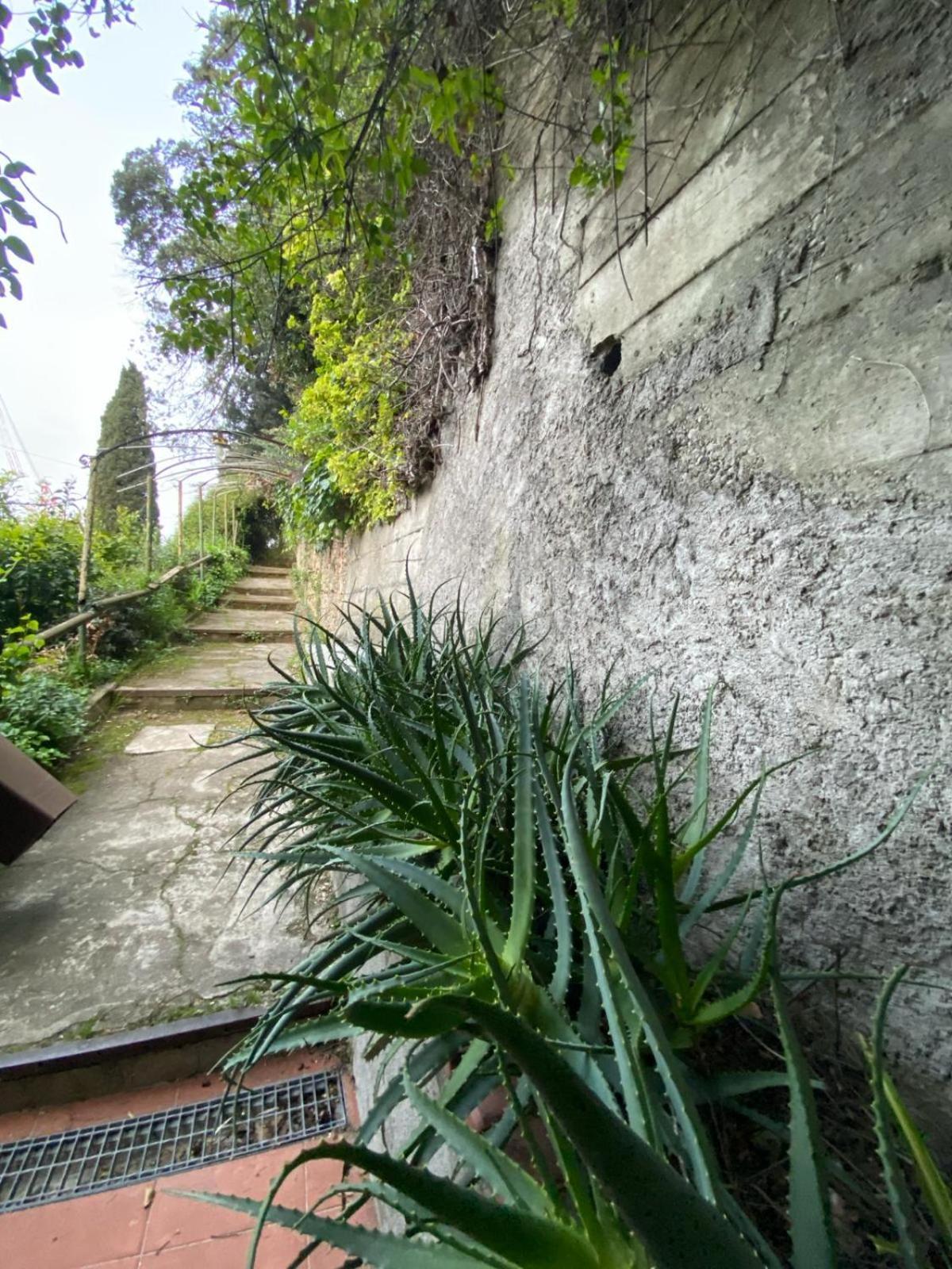Caligo Bed and Breakfast La Spezia Buitenkant foto